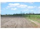 Bundaberg QLD 4670