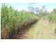 Bundaberg QLD 4670