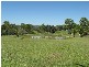 Bundaberg QLD 4670