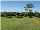 Bundaberg QLD 4670
