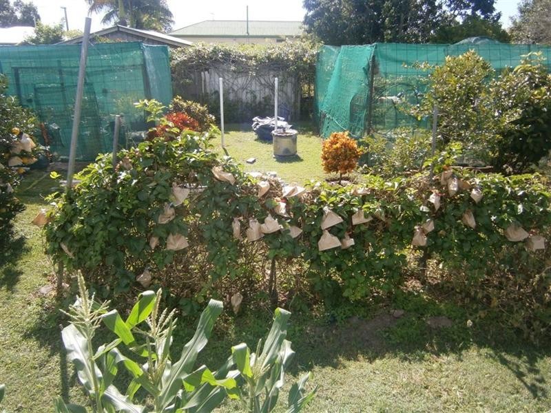 47 Duncraigen Street, Norville QLD 4670