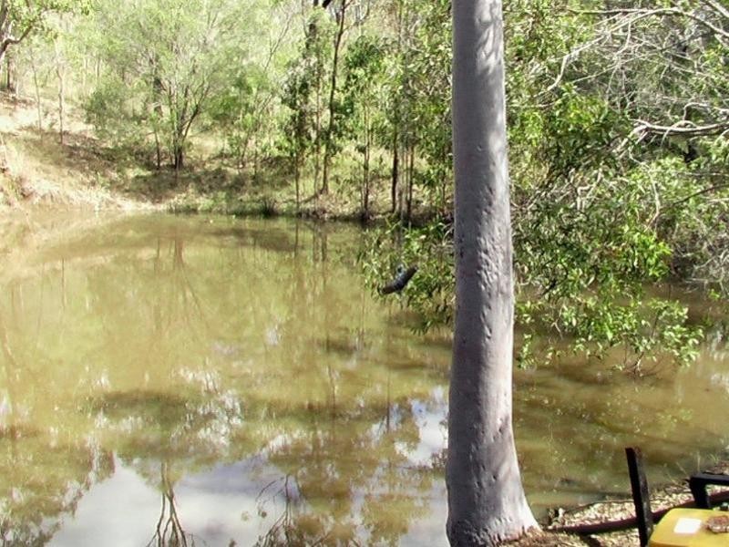Horse Camp QLD 4671