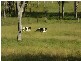 Mount Perry QLD 4671