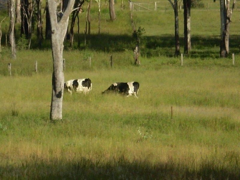 Mount Perry QLD 4671