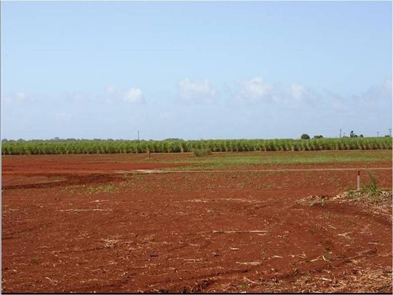 485 Bargara Road, Qunaba QLD 4670