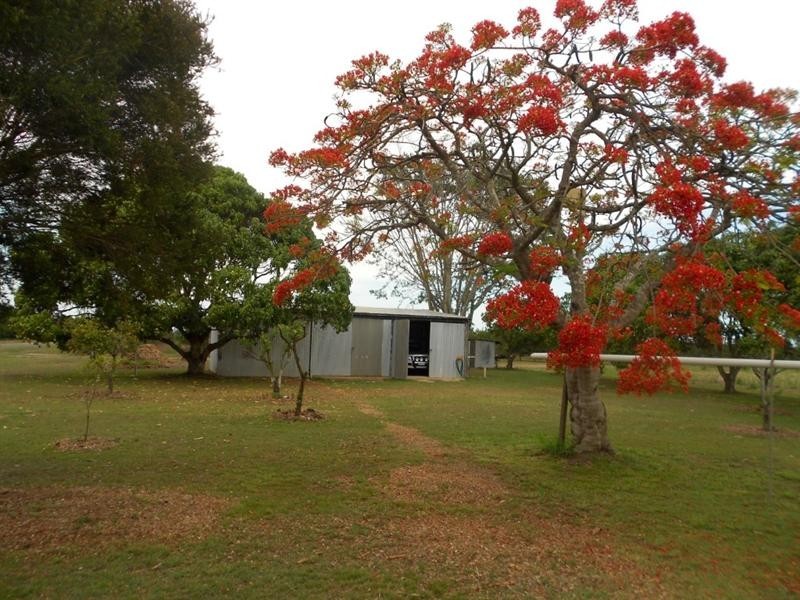 123 Pashleys Road, Welcome Creek QLD 4670