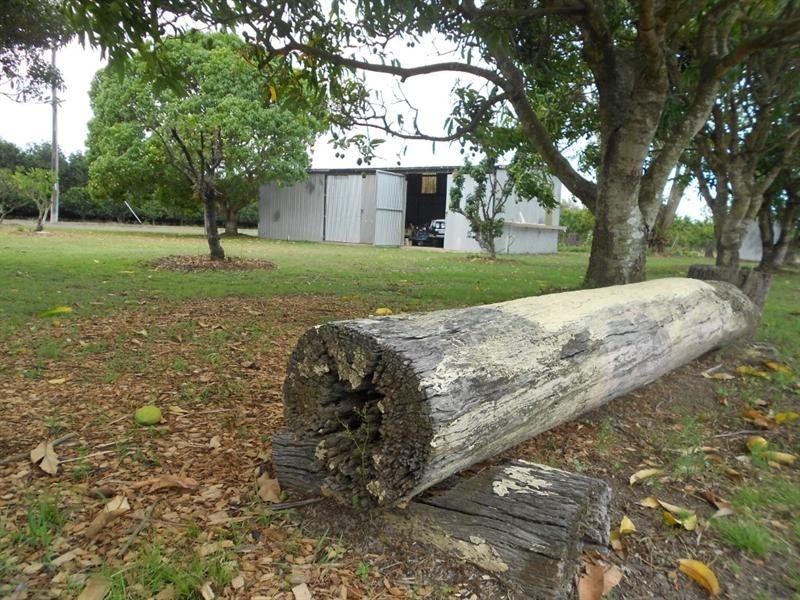 123 Pashleys Road, Welcome Creek QLD 4670