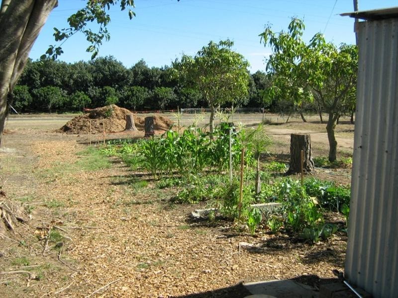 123 Pashleys Road, Welcome Creek QLD 4670