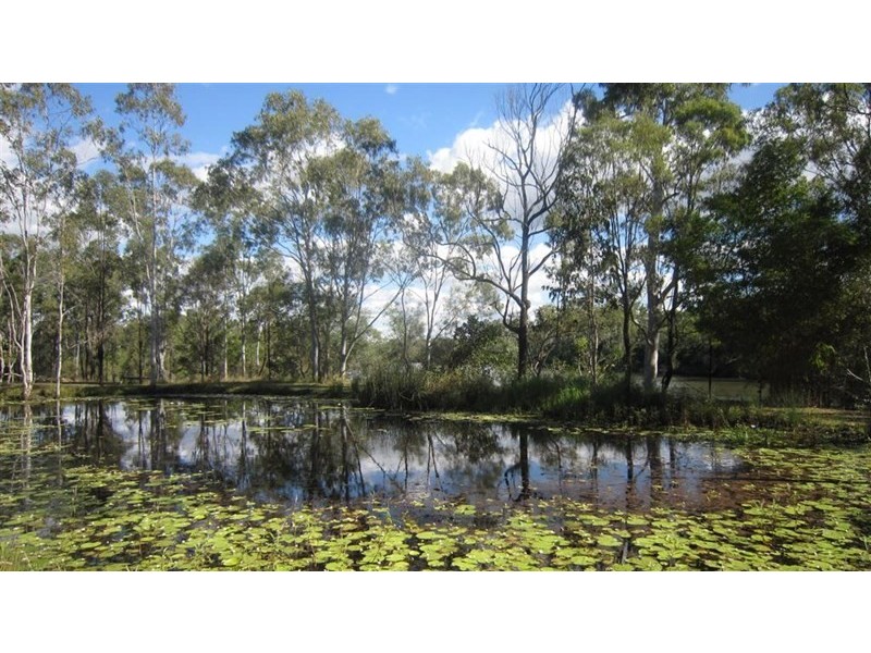 Baffle Creek QLD 4674