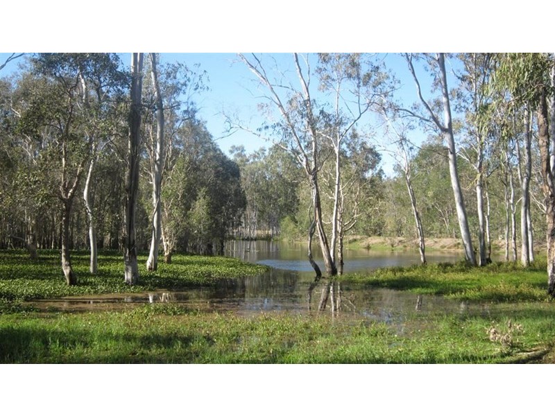 Baffle Creek QLD 4674