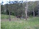 Gin Gin QLD 4671