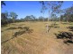 Lot 8 Crosswells Road, Sharon QLD 4670