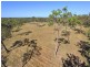 Lot 8 Crosswells Road, Sharon QLD 4670