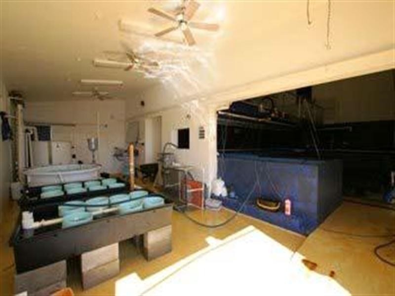 146 Buss Street, Burnett Heads QLD 4670