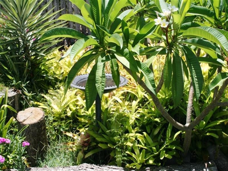 44 Fe Walker Street, Kepnock QLD 4670