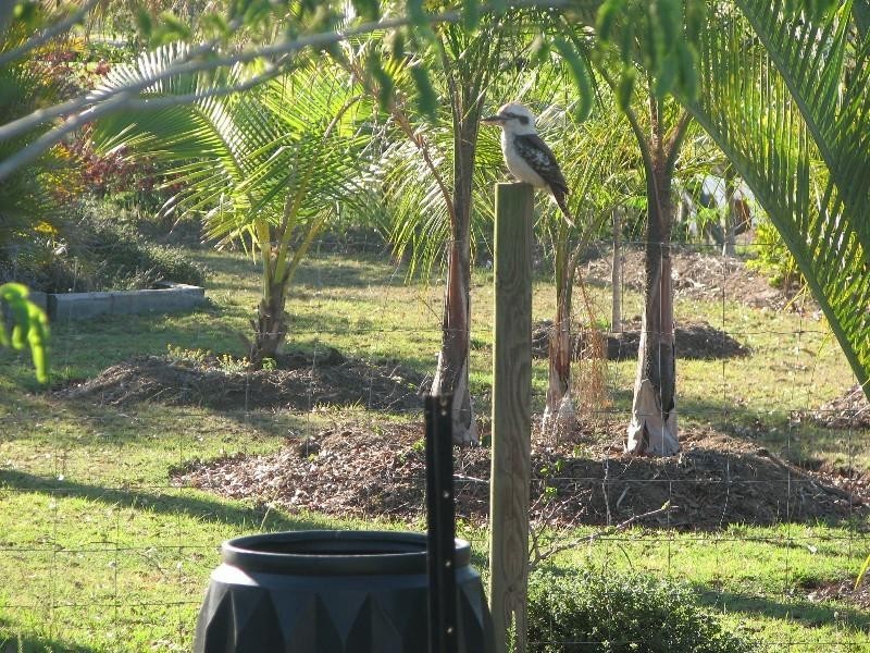 46 Park Estate Drive, Branyan QLD 4670