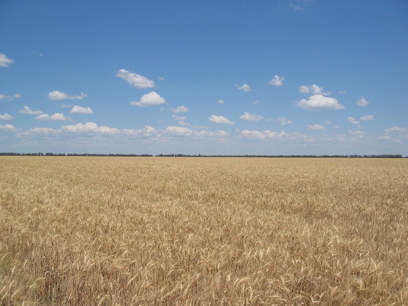 Chinchilla QLD 4413