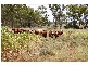Chinchilla QLD 4413