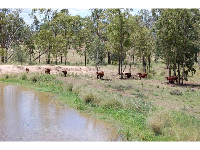 Chinchilla QLD 4413