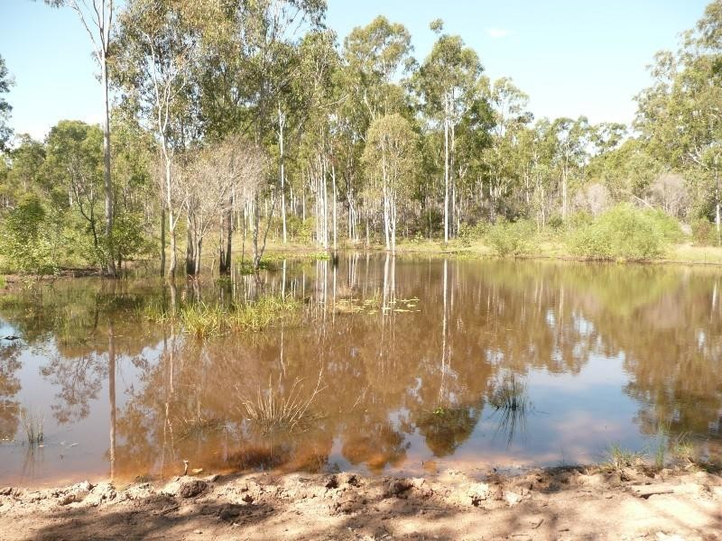 South Bingera QLD 4670