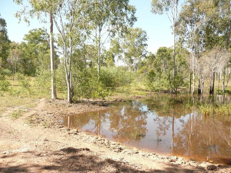 South Bingera QLD 4670