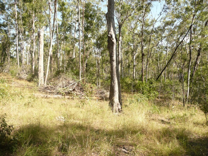 2/0 The Cedars Road, Bundaberg QLD 4670