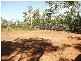 2/0 The Cedars Road, Bundaberg QLD 4670