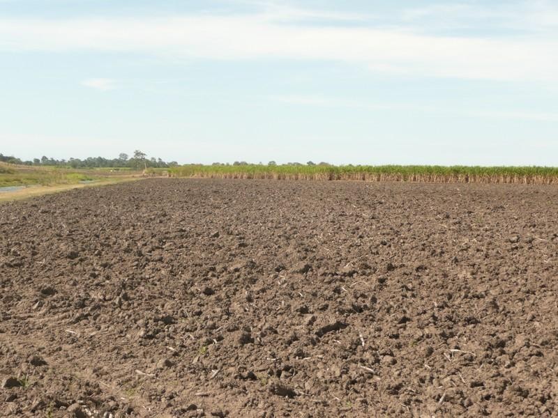 Bundaberg North QLD 4670