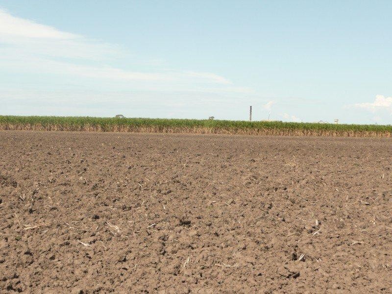 Bundaberg North QLD 4670