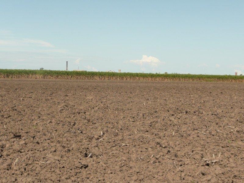 Bundaberg North QLD 4670