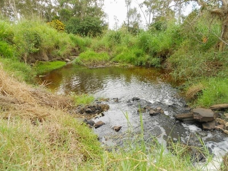 294 Raines Road, Sharon QLD 4670