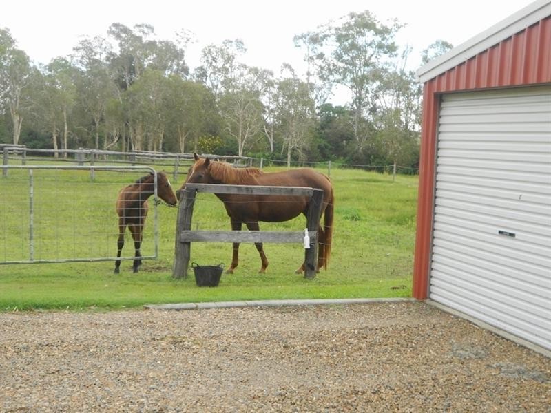 294 Raines Road, Sharon QLD 4670