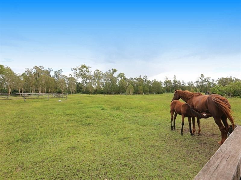 294 Raines Road, Sharon QLD 4670