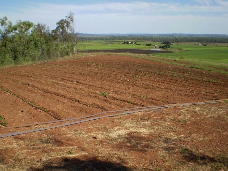 Gin Gin QLD 4671