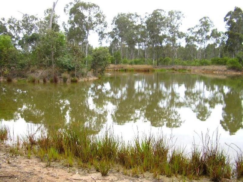 573 Bucca Road, Bucca QLD 4670