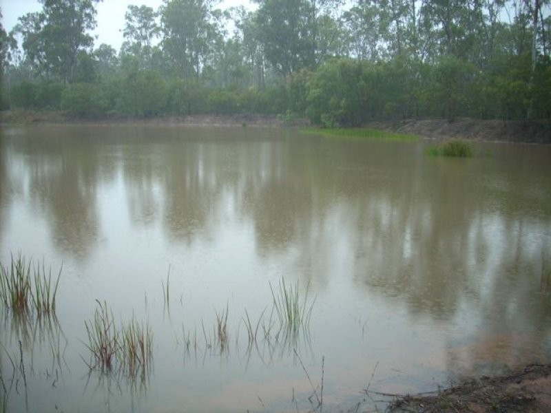 573 Bucca Road, Bucca QLD 4670