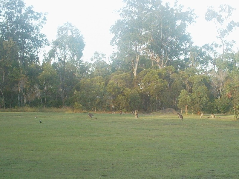 Bundaberg QLD 4670