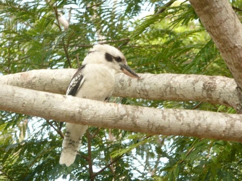 36 Paynes Road, South Kolan QLD 4670