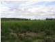 Bundaberg QLD 4670