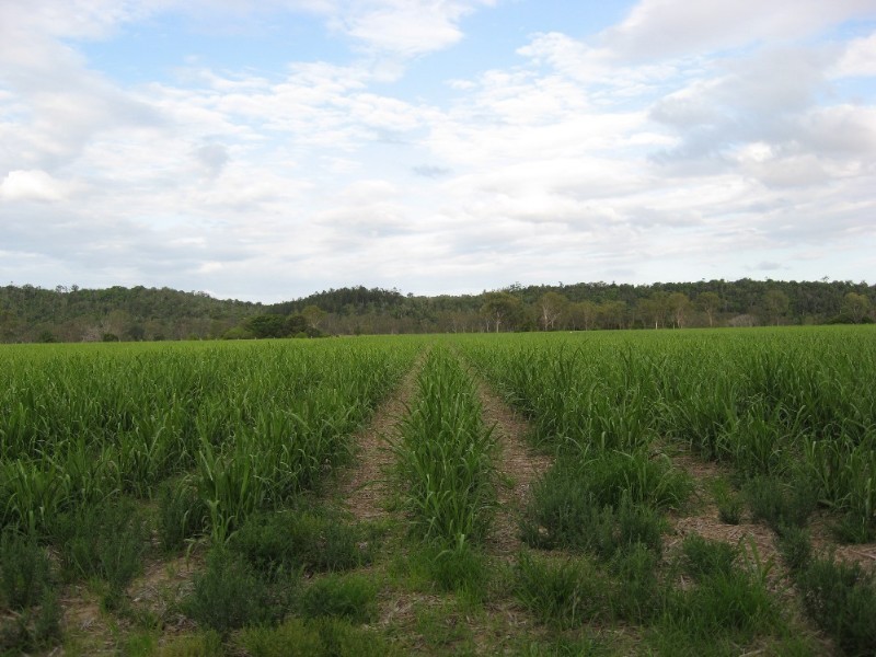 Bundaberg QLD 4670