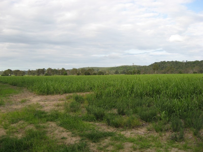 Bundaberg QLD 4670