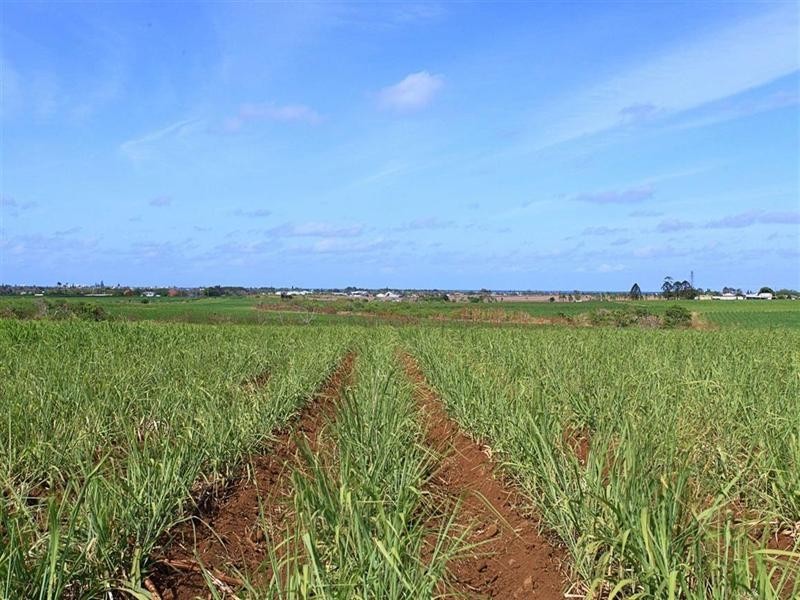 417 Windermere Road, Qunaba QLD 4670