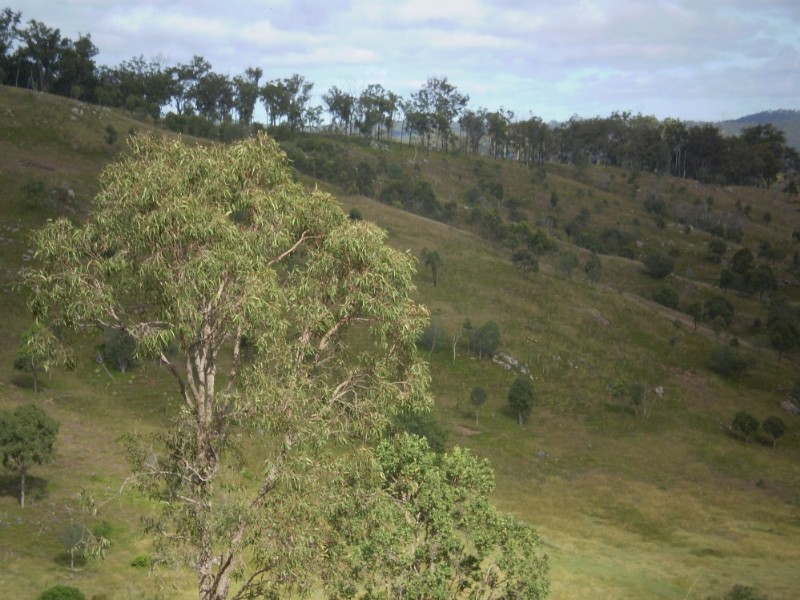Mount Perry QLD 4671