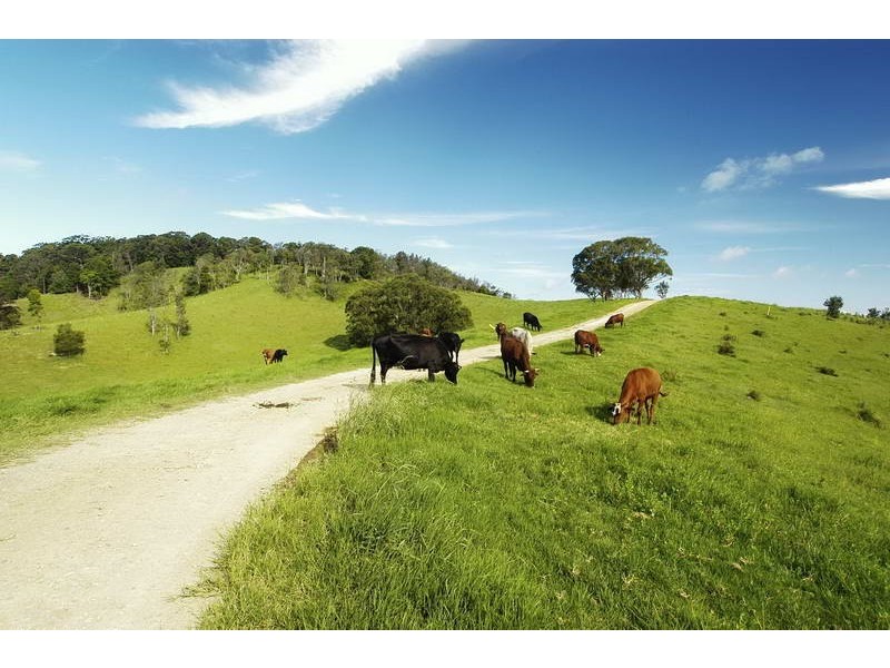 6 Broken Head Road, Broken Head NSW 2481