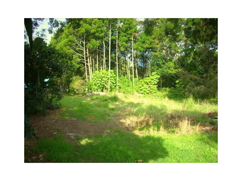 16 Honeysuckle Drive, Suffolk Park NSW 2481