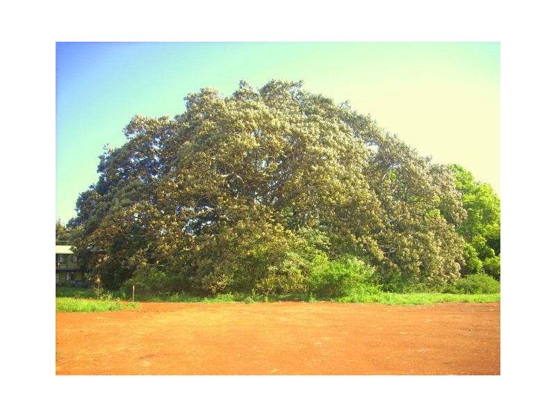 Lot 10 Grays Lane, Byron Bay NSW 2481
