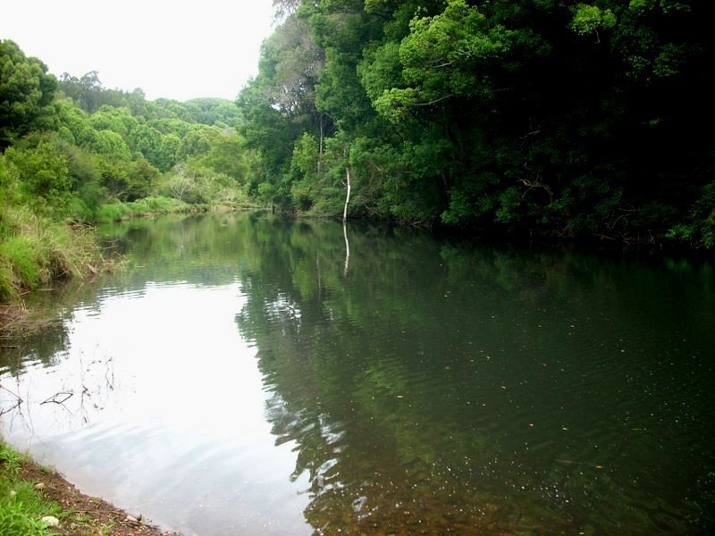 354 Kings Road, Federal NSW 2480