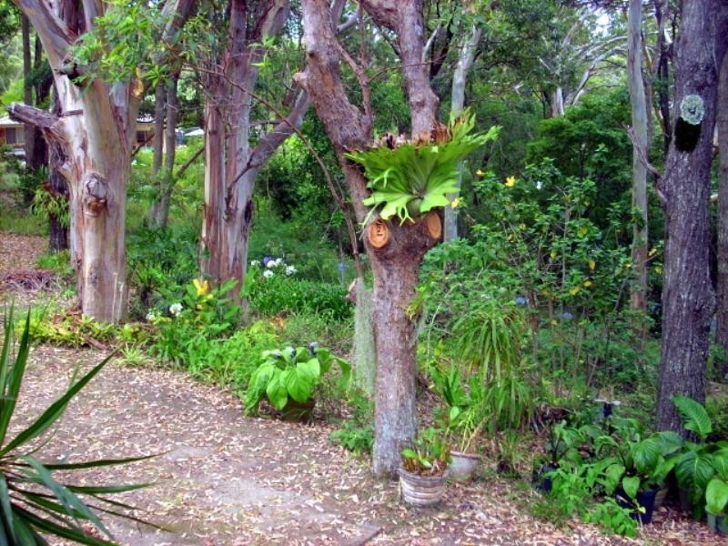 23 Old Bangalow Road, Byron Bay NSW 2481