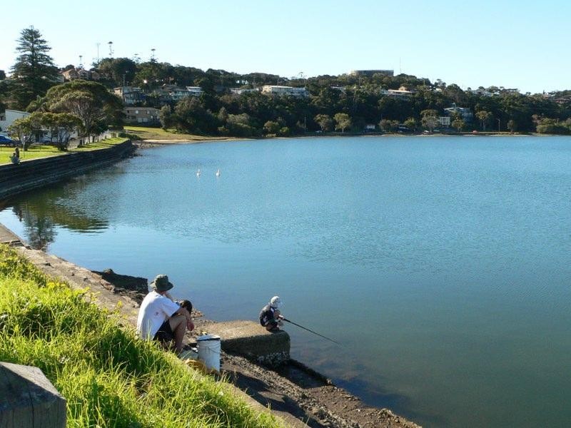 64 Fenwick Drive, Ballina NSW 2478