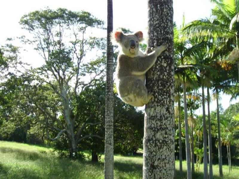 296A Tyagarah Road, Byron Bay NSW 2481